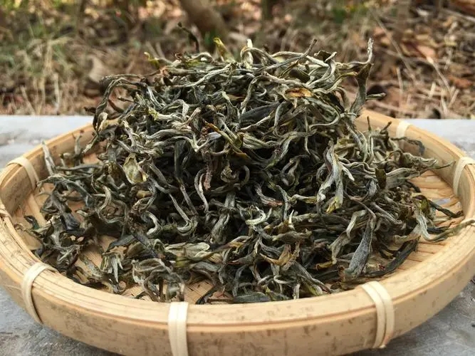 2023年易武張家灣古樹春茶品質(zhì)如何？