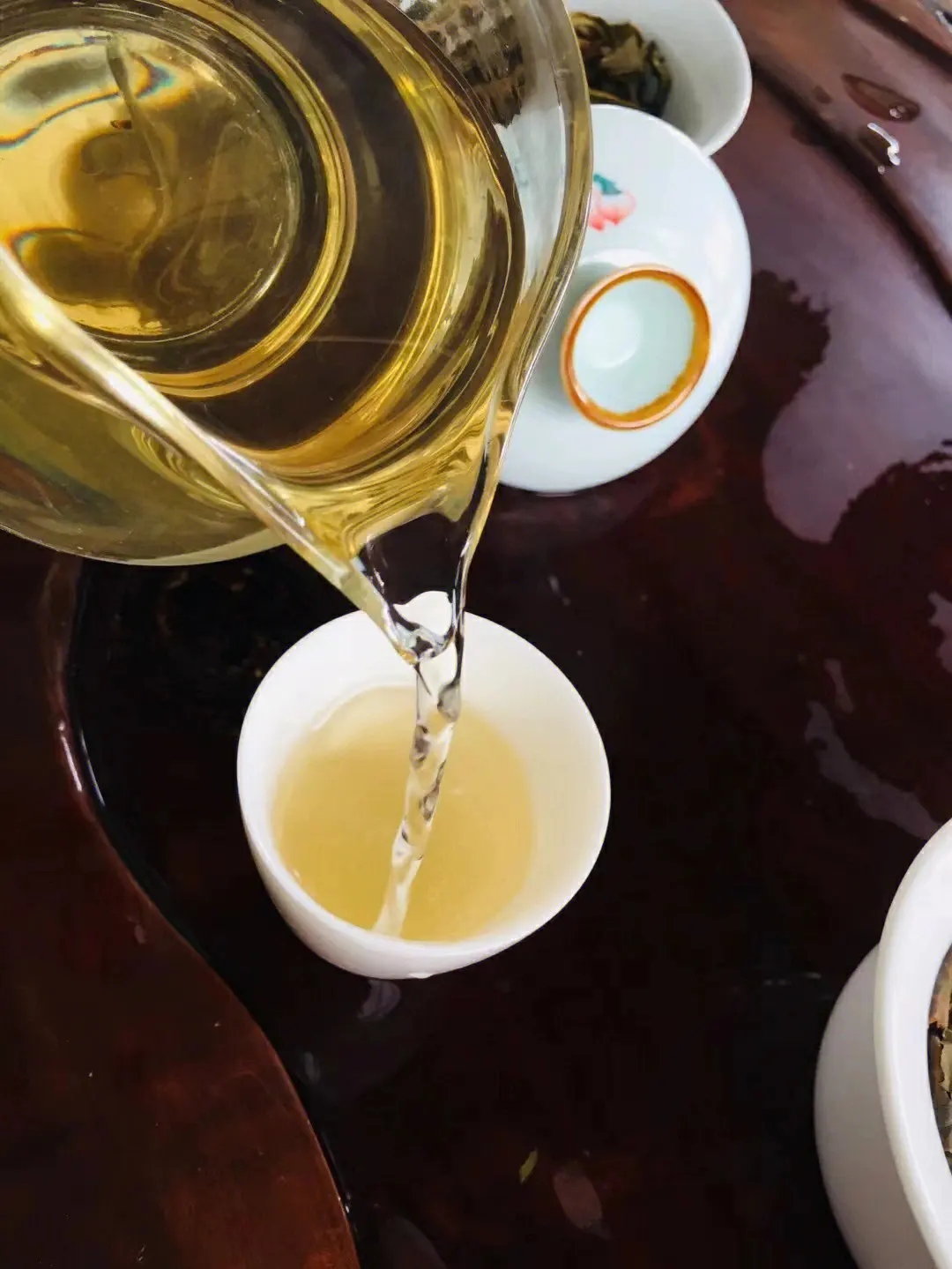 2023年鎮(zhèn)沅老海塘古樹春茶價(jià)格是多少？