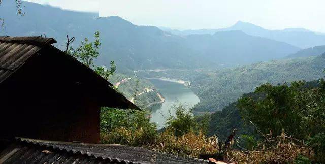 2024年磨烈古樹春茶價(jià)格多少？