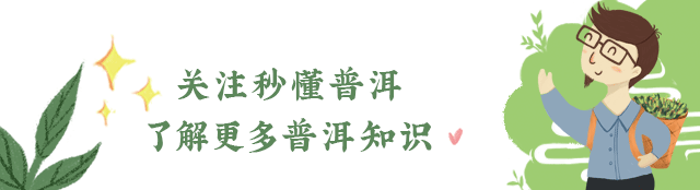 陳財制茶：2024年，茶山真實寫照，最慘的那波人