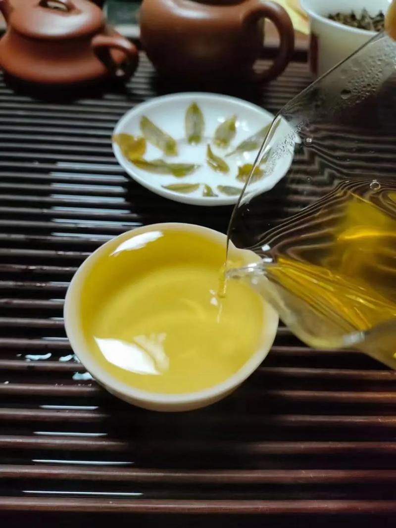 倚邦貢茶，甘甜醇柔