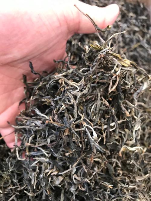 倚邦 | 兩朝貢茶，六山香魁